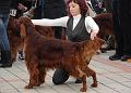 IRISH MELODY LUCKY LUCK3